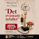 Ekebyhovs slottsgalleri
